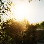 Masseria Il Sorriso Degli Ulivi - Dimora Di Charme Κατάλυμα σε φάρμα