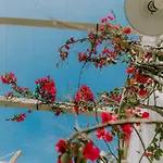 Masseria Il Sorriso Degli Ulivi - Dimora Di Charme Κατάλυμα σε φάρμα