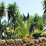 Masseria Il Sorriso Degli Ulivi - Dimora Di Charme Κατάλυμα σε φάρμα Gallipoli