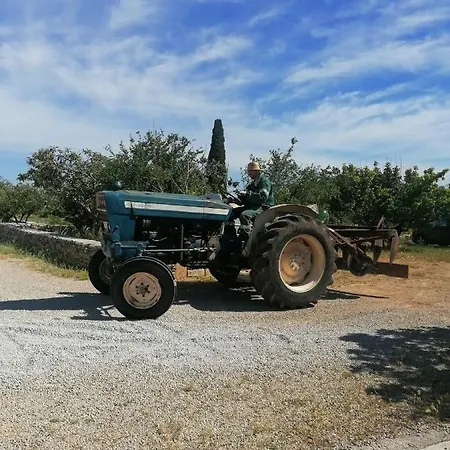 Farm stay Masseria Il Sorriso Degli Ulivi - Dimora Di Charme *