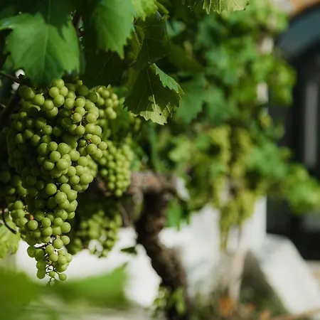 Masseria Il Sorriso Degli Ulivi - Dimora Di Charme Alloggio per agriturismo *