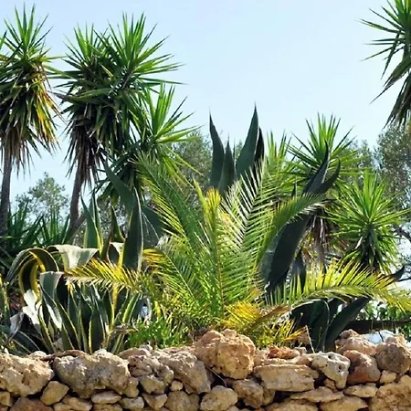 Masseria Il Sorriso Degli Ulivi - Dimora Di Charme Bauernhof Gallipoli